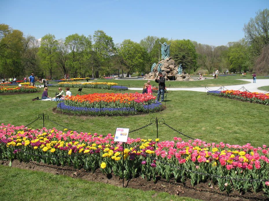 washington park 0 3060ac4d 5056 a36a 0beaa789d423b5f3