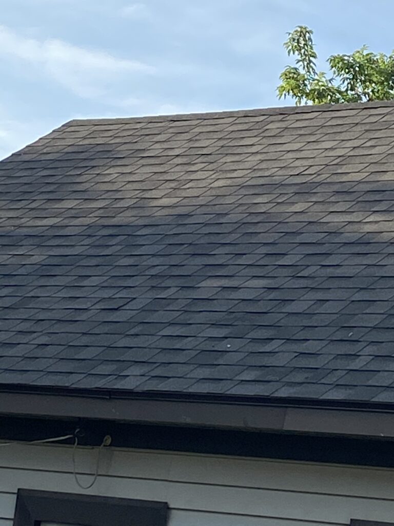 Roof Repair